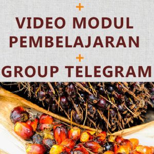 Kelas Teknik Trade FCPO